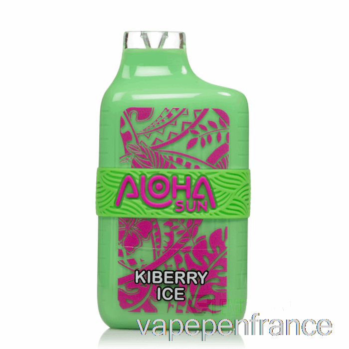 Stylo Jetable De Vape De Glace De Kiberry Du Soleil 7000 D'aloha